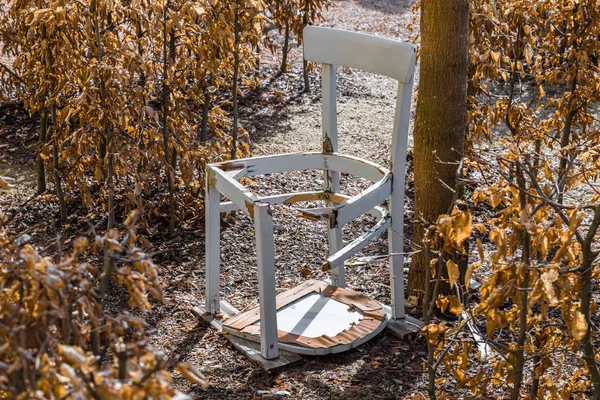 庭のラビリンスで壊れた白い椅子 ドイツ — ストック写真
