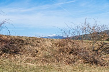 Baharda Bavyera Ormanı'nda karla kaplı Rachel dağının görünümü, Almanya