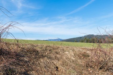 Baharda Bavyera Ormanı'nda karla kaplı Rachel dağının görünümü, Almanya