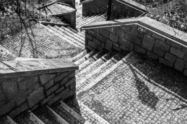 Yukarıdan aşağıya bir parkta taş merdiven siyah beyaz görüntü, Almanya