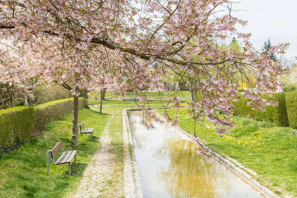 Waterpark Water Gebied Een Modern Residentieel Complex Duitsland — Stockfoto