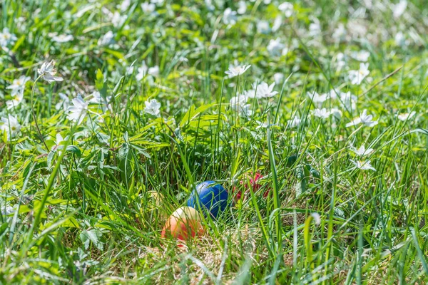 Weiße Wiesenblumen Mit Bunten Ostereiern Der Frühlingssonne Garten Deutschland — Stockfoto