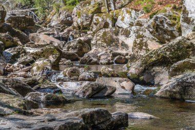 Steinklamm, Spiegelau'da Bavyera Ormanı'nda, Almanya