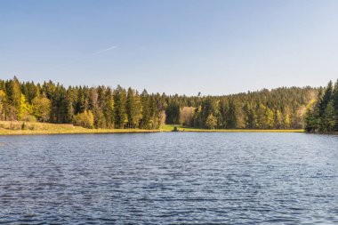 Bavyera Ormanı'ndaki Grossarmschlag rezervuarı, Almanya