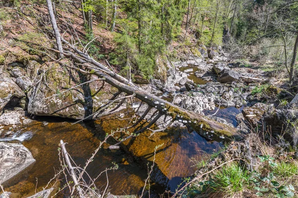 Steinklamm Spiegelau Floresta Baviera Alemanha — Fotografia de Stock