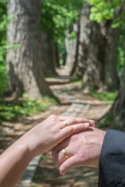 Ein Frisch Verheiratetes Paar Vor Dem Symbolischen Lebensweg Märchenwald Deutschland — Stockfoto