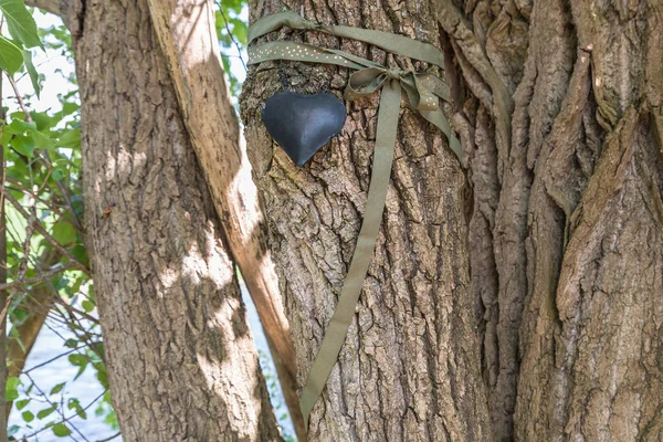 Metal Heart Old Tree — Stock Photo, Image