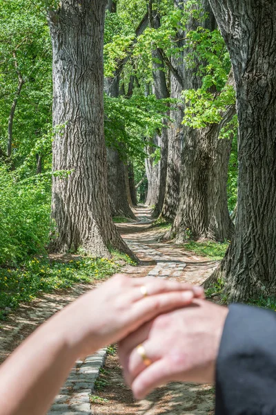 Ein Frisch Verheiratetes Paar Vor Dem Symbolischen Lebensweg Märchenwald Deutschland — Stockfoto