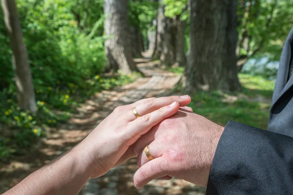 Ein Frisch Verheiratetes Paar Vor Dem Symbolischen Lebensweg Märchenwald Deutschland — Stockfoto