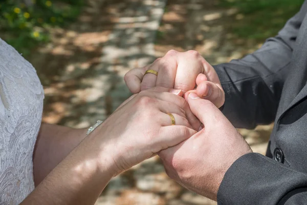 Ett Nygift Par Framför Den Symboliska Vägen Livet Sagolik Skog — Stockfoto