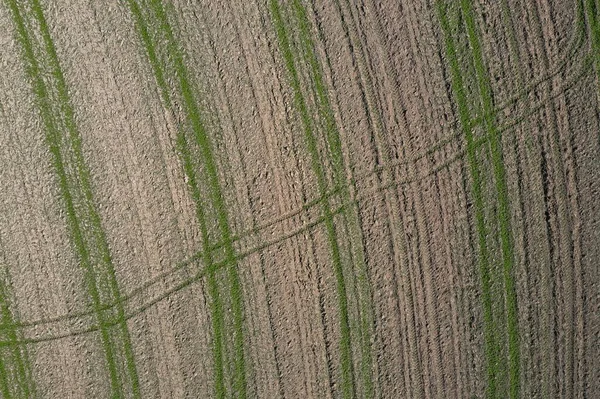 Kép Egy Légi Felvétel Egy Drónnal Mező Mező Traktor Nyomok — Stock Fotó