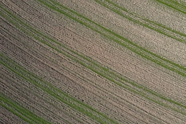 Kép Egy Légi Felvétel Egy Drónnal Mező Mező Traktor Nyomok — Stock Fotó