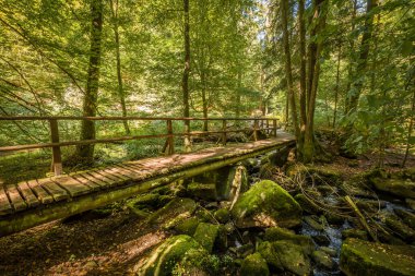 Almanya, Bavyera 'da Falkenstein yakınlarındaki Rettenbach' ta, Hllbach nehri üzerindeki ahşap köprü Hllbachtal doğa koruma alanı yakınlarında.