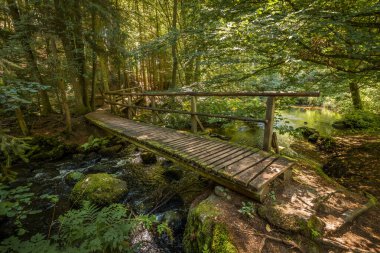 Almanya, Bavyera 'da Falkenstein yakınlarındaki Rettenbach' ta, Hllbach nehri üzerindeki ahşap köprü Hllbachtal doğa koruma alanı yakınlarında.