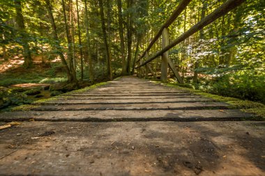 Almanya, Bavyera 'da Falkenstein yakınlarındaki Rettenbach' ta, Hllbach nehri üzerindeki ahşap köprü Hllbachtal doğa koruma alanı yakınlarında.
