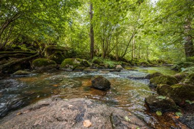 The Hllbach River in the Hllbachtal Nature Reserve near the circular hiking trail in Rettenbach near Falkenstein in Bavaria, Germany