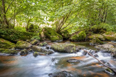 The Hllbach River in the Hllbachtal Nature Reserve near the circular hiking trail in Rettenbach near Falkenstein in Bavaria, Germany