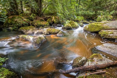 The Hllbach River in the Hllbachtal Nature Reserve near the circular hiking trail in Rettenbach near Falkenstein in Bavaria, Germany