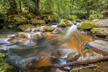 The Hllbach River in the Hllbachtal Nature Reserve near the circular hiking trail in Rettenbach near Falkenstein in Bavaria, Germany