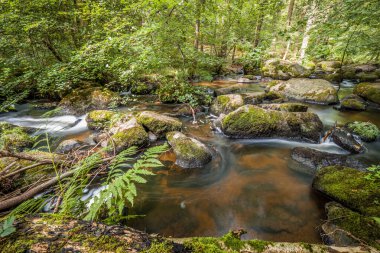 The Hllbach River in the Hllbachtal Nature Reserve near the circular hiking trail in Rettenbach near Falkenstein in Bavaria, Germany