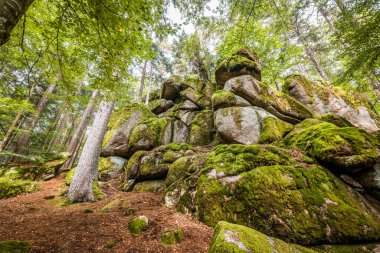 Almanya, Bavyera 'da Falkenstein yakınlarındaki Rettenbach' ta doğa koruma alanındaki Megalith taşları