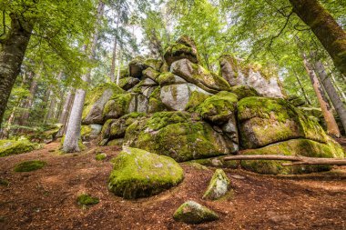 Almanya, Bavyera 'da Falkenstein yakınlarındaki Rettenbach' ta doğa koruma alanındaki Megalith taşları