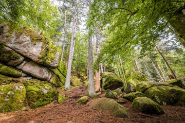 Almanya, Bavyera 'da Falkenstein yakınlarındaki Rettenbach' ta doğa koruma alanındaki Megalith taşları