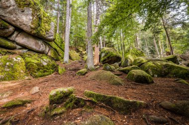 Almanya, Bavyera 'da Falkenstein yakınlarındaki Rettenbach' ta doğa koruma alanındaki Megalith taşları