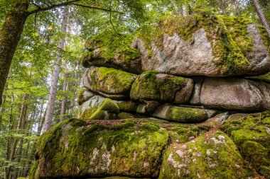 Almanya, Bavyera 'da Falkenstein yakınlarındaki Rettenbach' ta doğa koruma alanındaki Megalith taşları