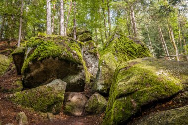 Almanya, Bavyera 'da Falkenstein yakınlarındaki Rettenbach' ta doğa koruma alanındaki Megalith taşları