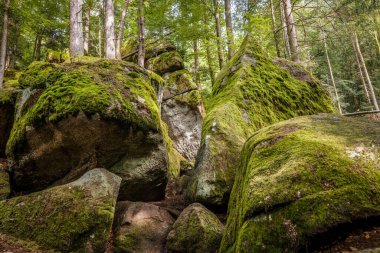 Almanya, Bavyera 'da Falkenstein yakınlarındaki Rettenbach' ta doğa koruma alanındaki Megalith taşları