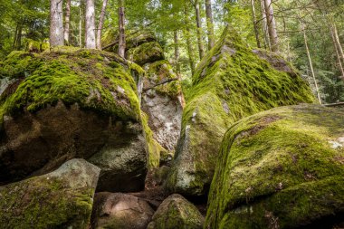 Almanya, Bavyera 'da Falkenstein yakınlarındaki Rettenbach' ta doğa koruma alanındaki Megalith taşları