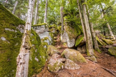 Almanya, Bavyera 'da Falkenstein yakınlarındaki Rettenbach' ta doğa koruma alanındaki Megalith taşları