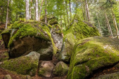 Almanya, Bavyera 'da Falkenstein yakınlarındaki Rettenbach' ta doğa koruma alanındaki Megalith taşları