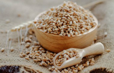 inci arpa tahıl tohum adam üzerinde