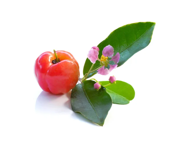 Acerola Fruit Close Background — Stock Photo, Image