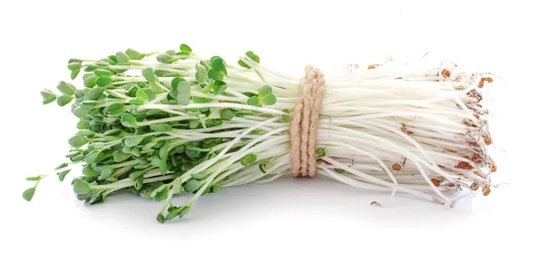 Pea Sprouts Isolated White Background — Stock Photo, Image