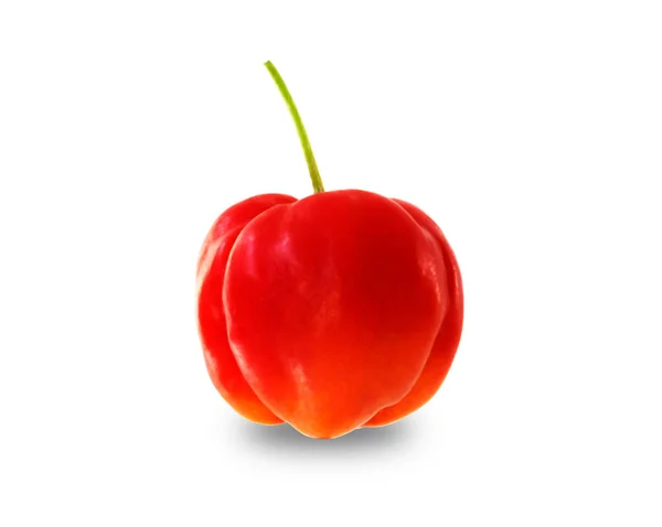 Acerola Cseresznye Gyümölcs Közelről Fehér Backgroun — Stock Fotó