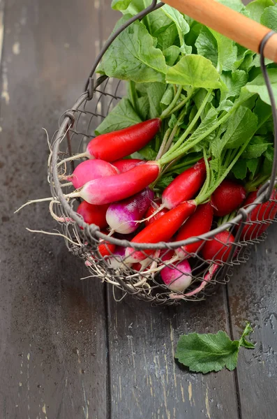 Bunch Fresh Colorful Radishes Old Rustic Wooden Table Selective Focus — Stock Photo, Image