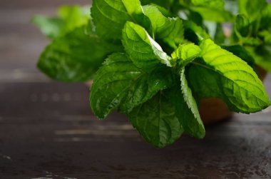 Taze organik nane demet eski rustik ahşap tablo.