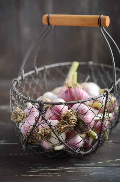 乡村木桌上的篮子里新鲜有机大蒜 — 图库照片
