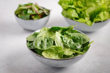 Taze yeşil salata bir kase içinde bir gri beton arka, seçici odak bırakır..