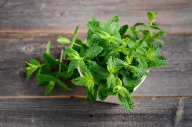 Taze organik nane demet eski rustik ahşap tablo.