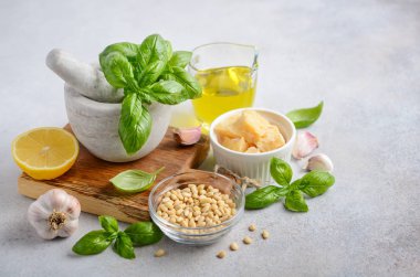 Yeşil pesto sosu yapmak için Malzemeler. 