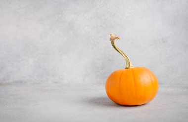 Gri beton arka plan üzerinde kabak ile Sonbahar arka plan.