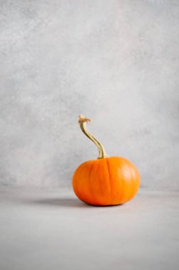 Gri beton arka plan üzerinde kabak ile Sonbahar arka plan.