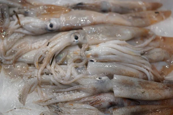 意大利南部塔兰托市场销售鲜鱼 — 图库照片