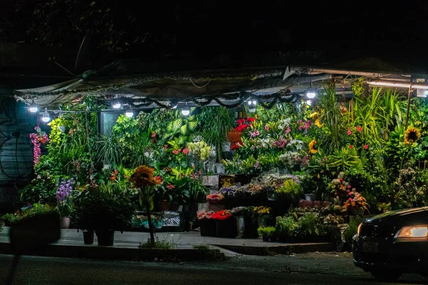 Floristry at night, flower shop full of plants and colourful flowers