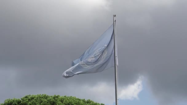 이탈리아 2018 Fao 깃발을 흔들며 유엔은 노력의 기아를 전문된 — 비디오