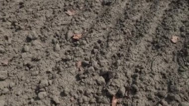 Arazi çorak ve kuraklık